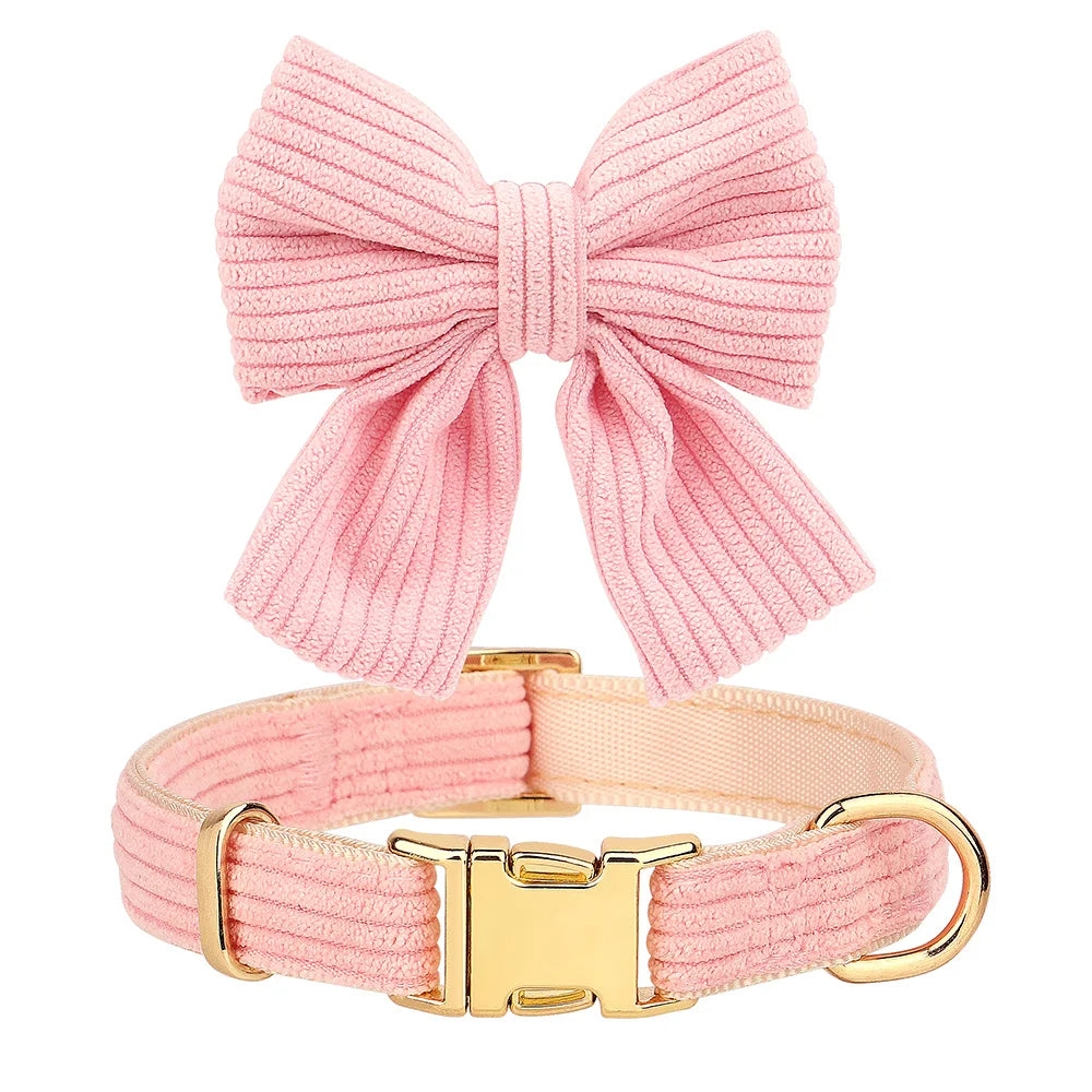 Small dog wearing cute bowtie harness with matching leash and collar