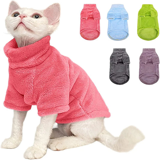 Hairless cat wearing turtleneck fleece winter sweater