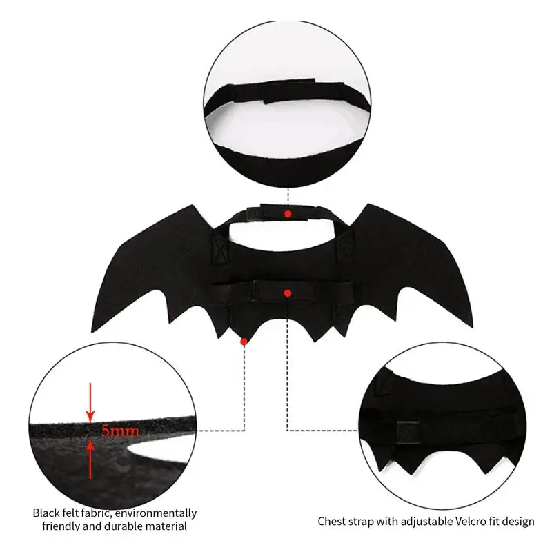 Cat wearing bat wing costume for Halloween.