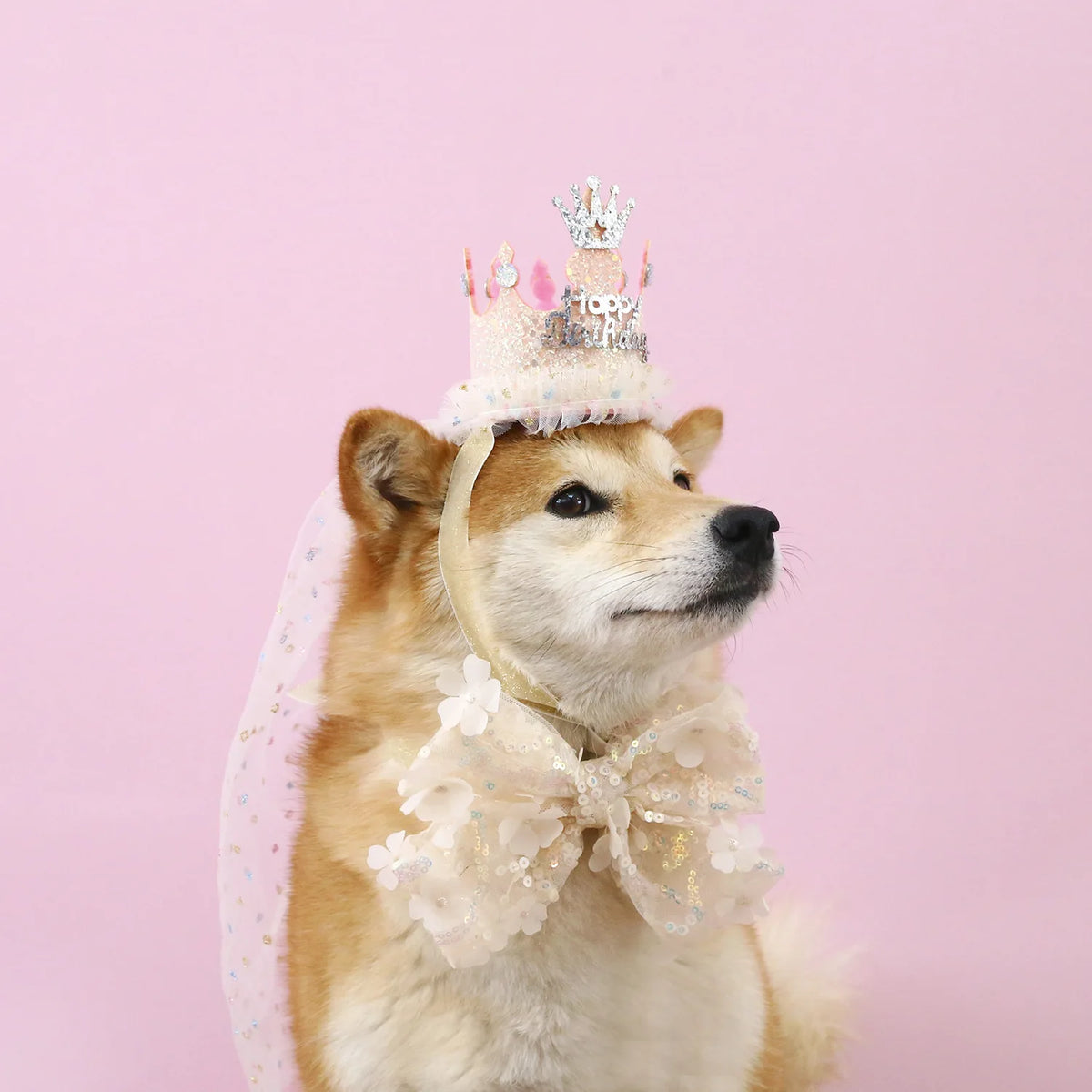 Elegant wedding crown with veil for small dogs and cats – pet bridal headdress