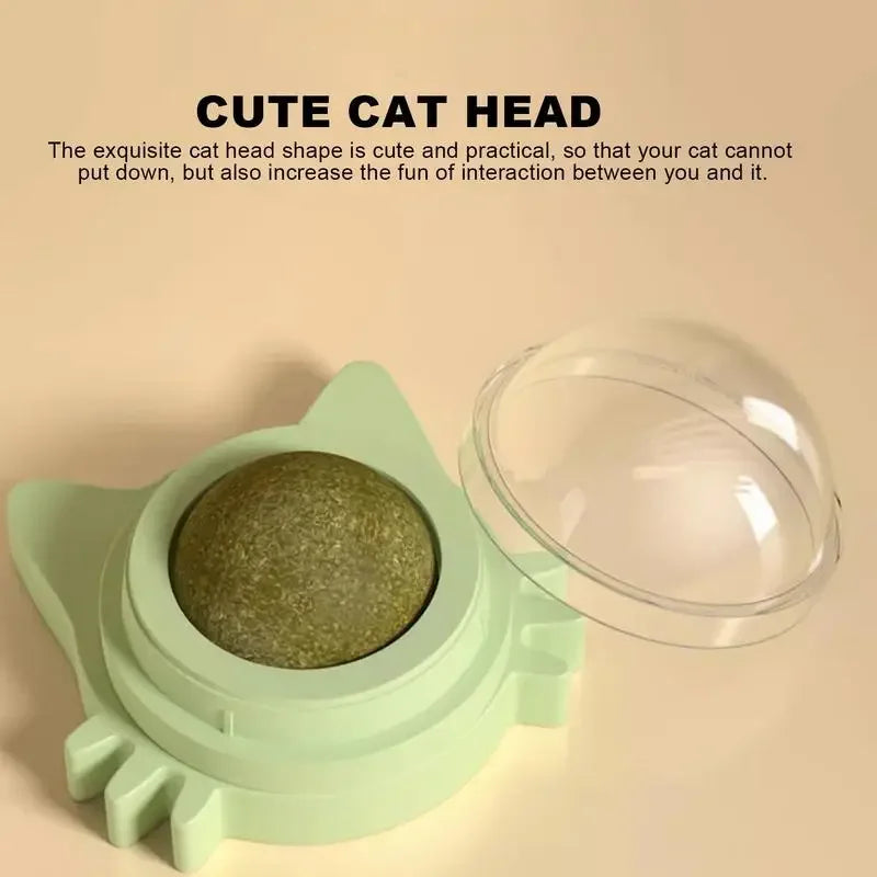 Lickable catnip balls chew toy and snack for cats with dental cleaning effect