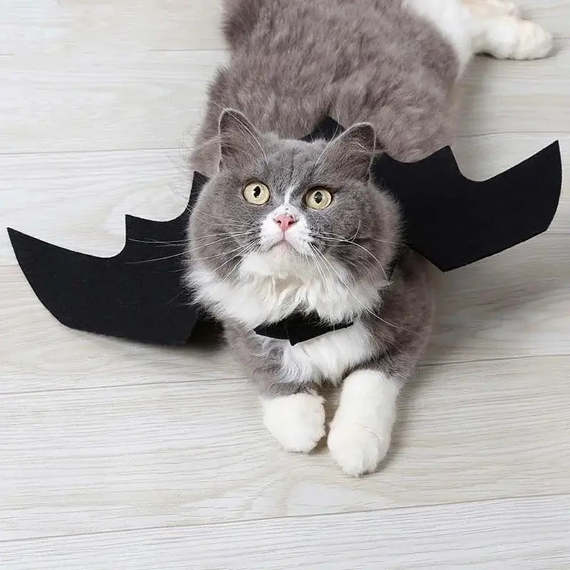 Black Bat Wings Harness Costume for cats and dogs, perfect for Halloween parties and festive occasions.