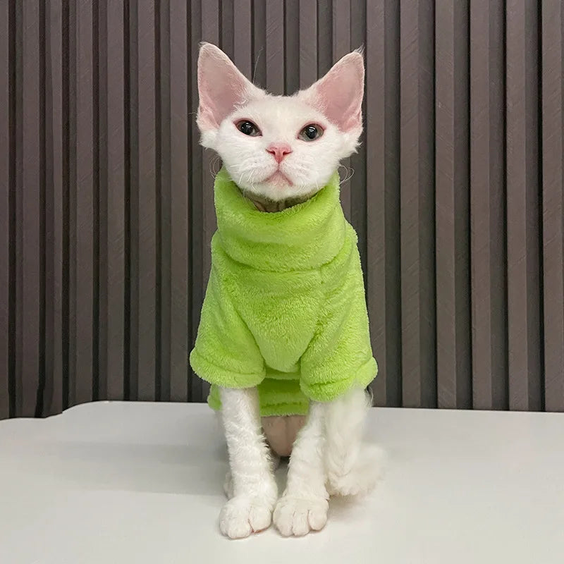 Hairless cat wearing turtleneck fleece winter sweater