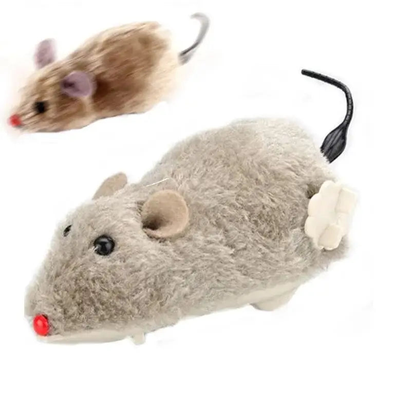 Indoor cat playing with a wind-up plush mouse toy, chasing it across the floor for hours of entertainment.