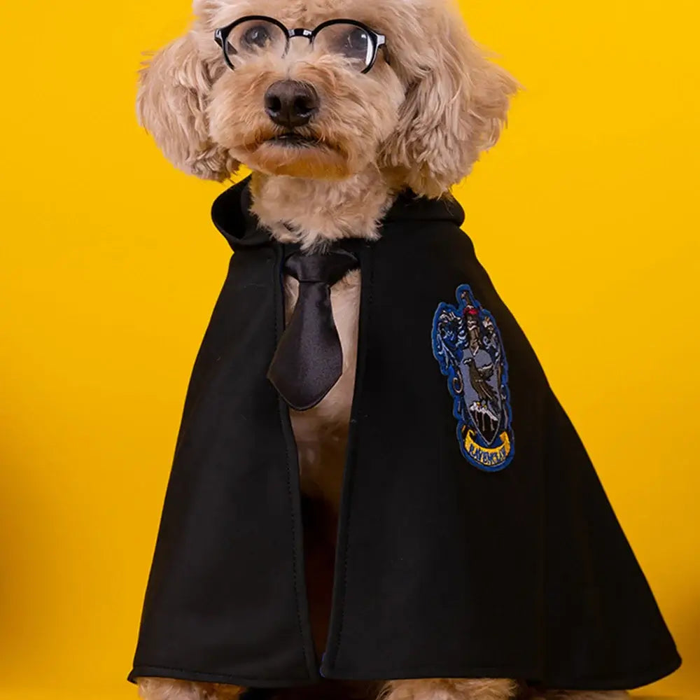 Cat or small dog wearing a shiny satin cape with magical Halloween theme.
