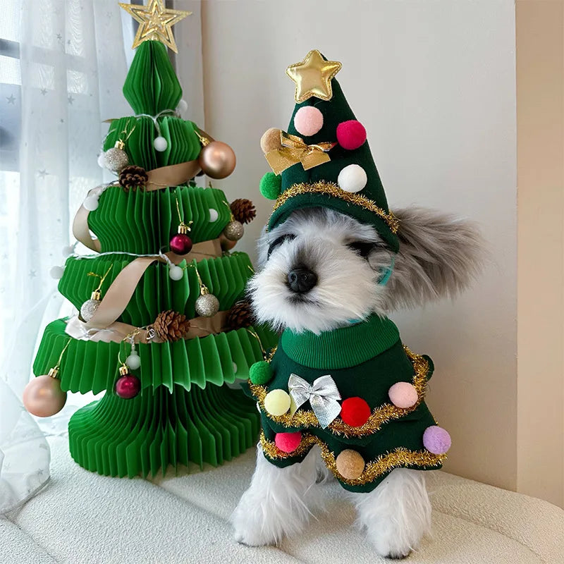 Cute dog wearing a Christmas pet collar and hat, standing next to a festive paper Christmas tree.