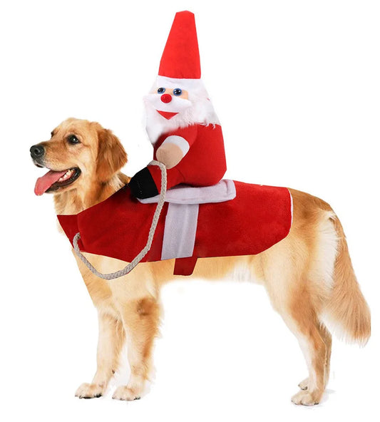 Christmas pet costume on a golden retriever featuring a Santa Claus outfit with a plush Santa toy.