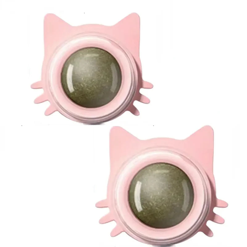 Lickable catnip balls chew toy and snack for cats with dental cleaning effect