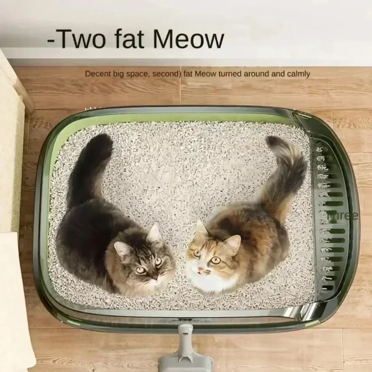 High-sided open cat litter box with low entry, designed for kittens, senior cats, and splash protection.