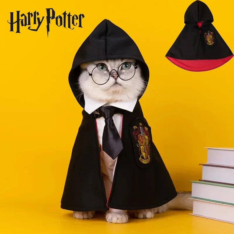 Cat wearing wizard shirt and cape inspired by Harry Potter magic academy outfit