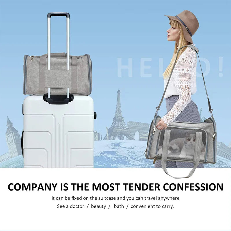Foldable airline-approved cat and small dog travel tote bag