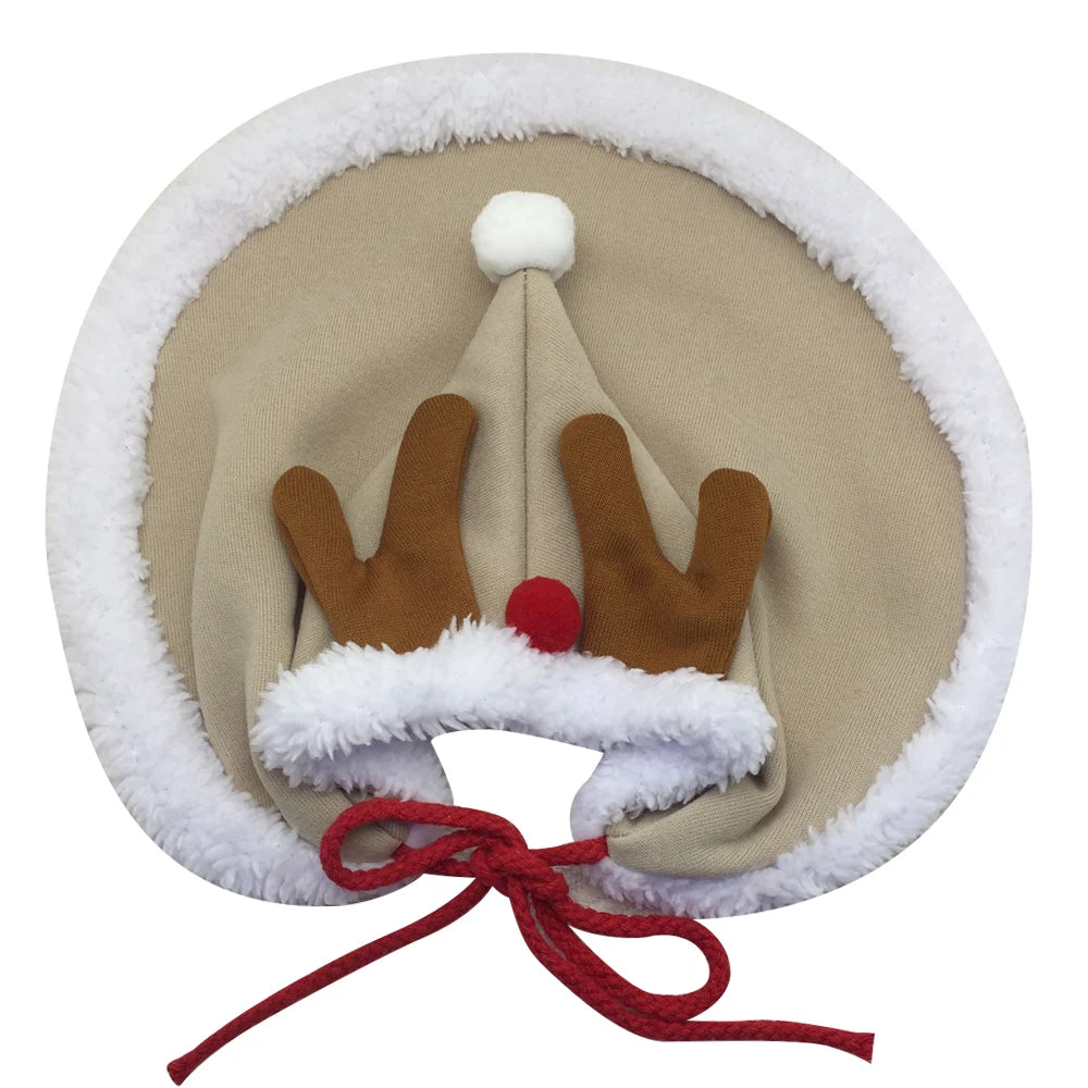 Cat wearing a red and brown Christmas cloak, ideal for festive parties and holiday photos.