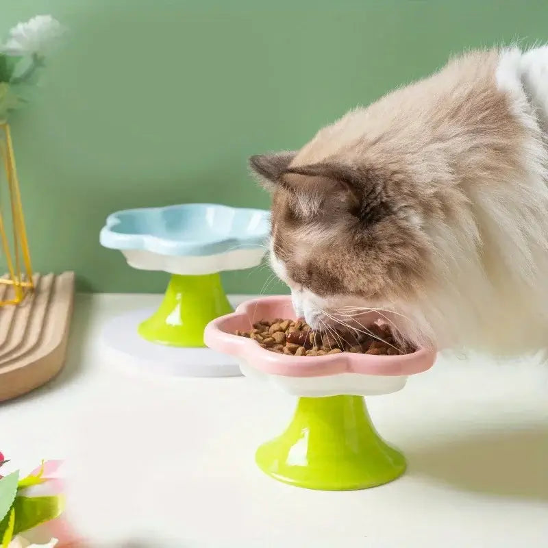 Elevated ceramic cat bowl with elegant flower design for comfortable and healthy feeding.