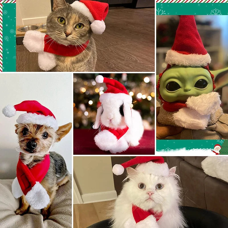 Christmas pet costume featuring cats, dogs, and a bunny in festive Santa outfits with hats and scarves.