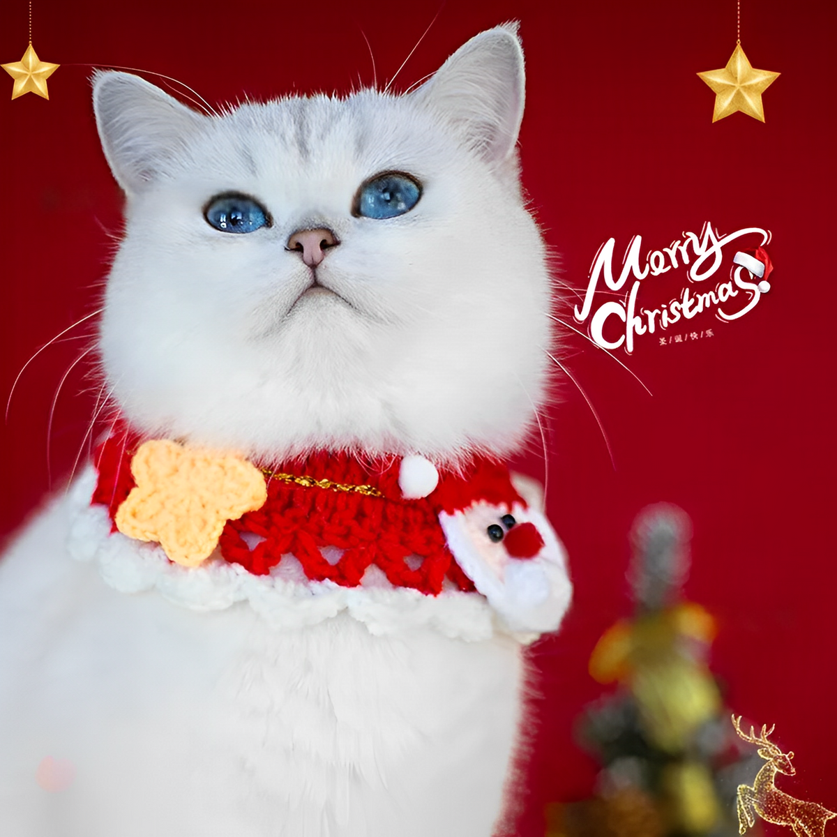 Christmas pet scarf collar with festive bow for cats and small dogs