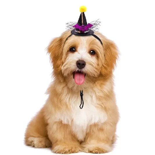 Halloween witch and wizard hat costume for cats and small dogs with adjustable strap for a magical look.