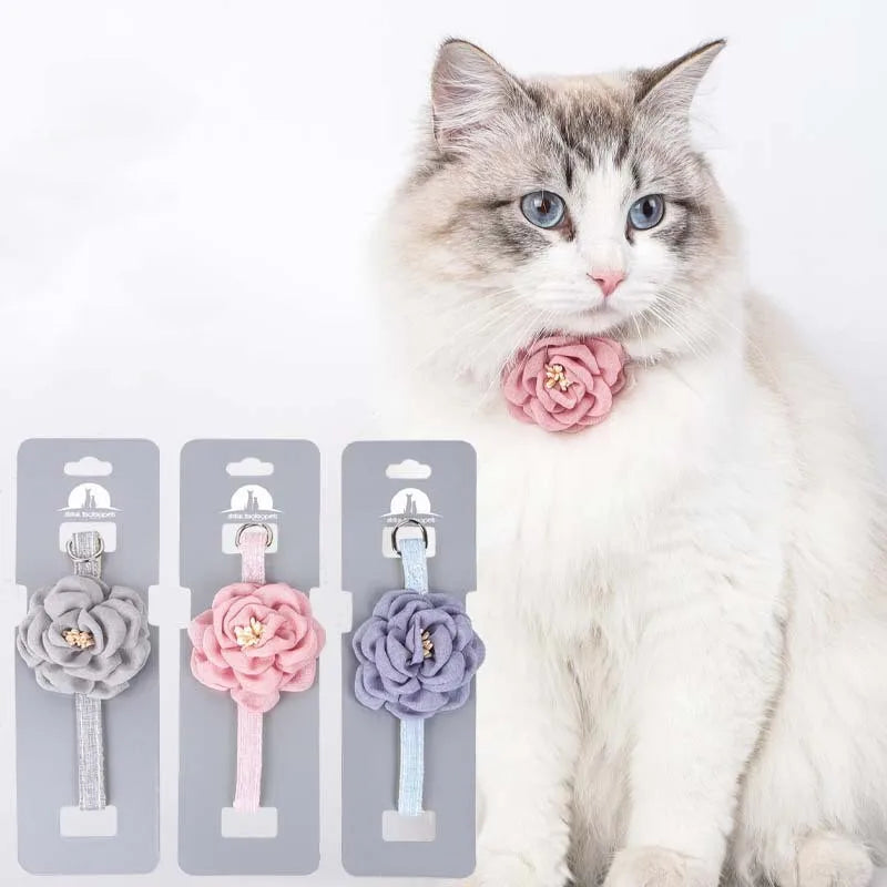 Adjustable bow tie pet collar with floral accent for cats and small dogs