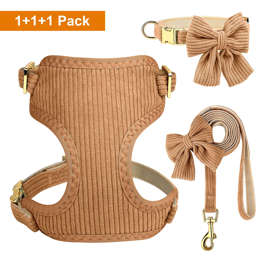 Small dog wearing cute bowtie harness with matching leash and collar