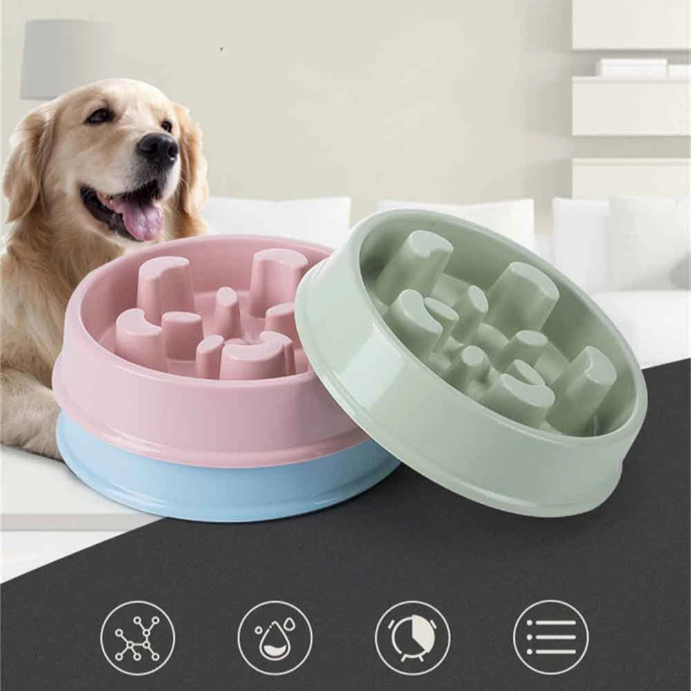 Pet Slow Food Bowl with raised obstacles to promote slower and safer eating for cats and dogs