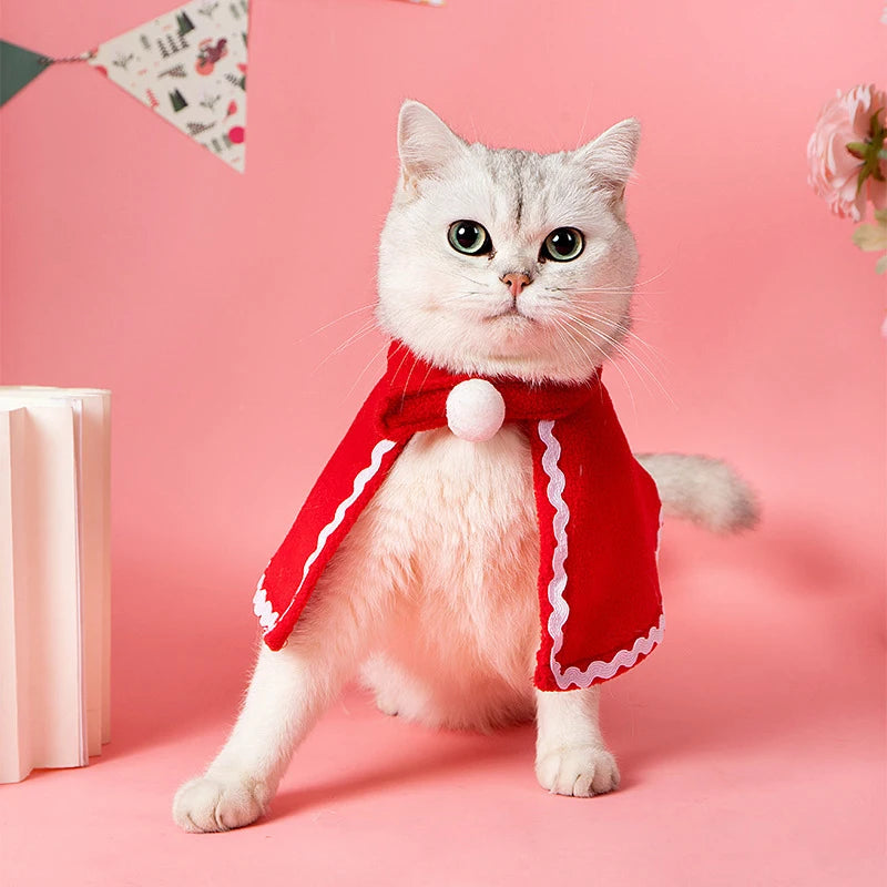 Cat in a red Christmas pet costume with a cape, perfect for festive holiday dress-up.
