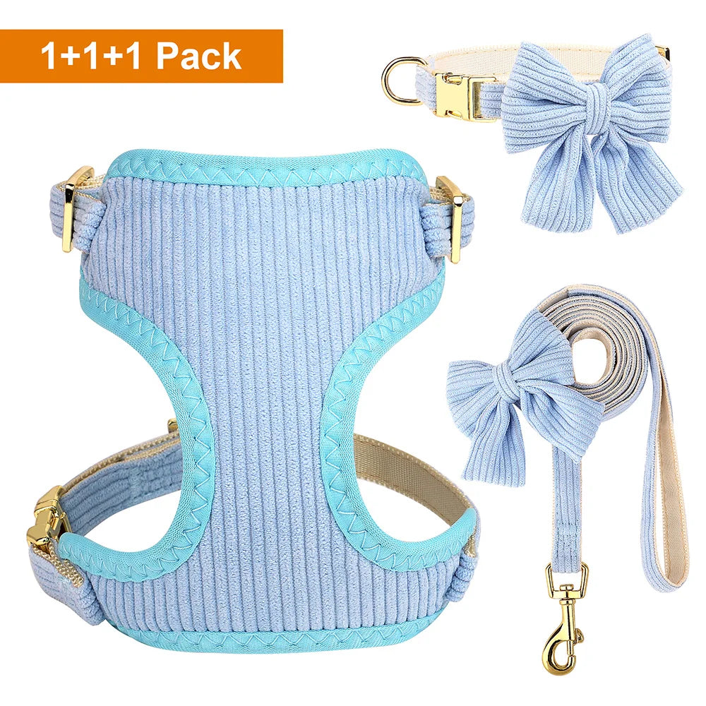 Small dog wearing cute bowtie harness with matching leash and collar