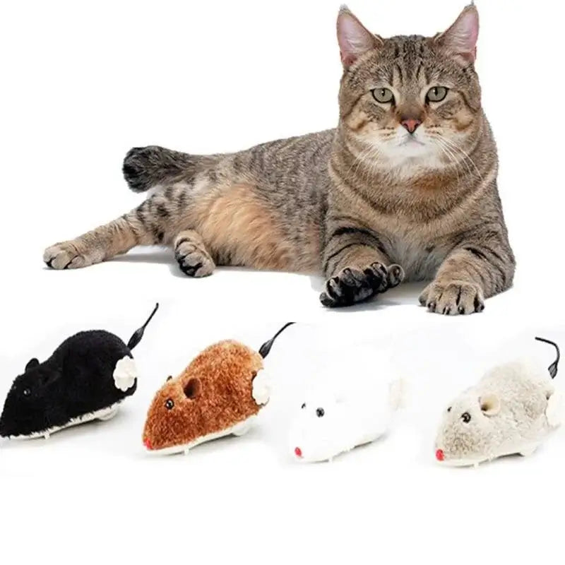 Indoor cat playing with a wind-up plush mouse toy, chasing it across the floor for hours of entertainment.