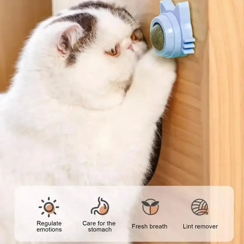 Lickable catnip balls chew toy and snack for cats with dental cleaning effect