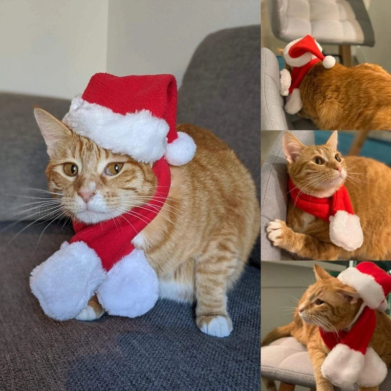 Christmas pet costume featuring a cat dressed in a Santa hat and scarf, perfect for festive holiday celebrations.