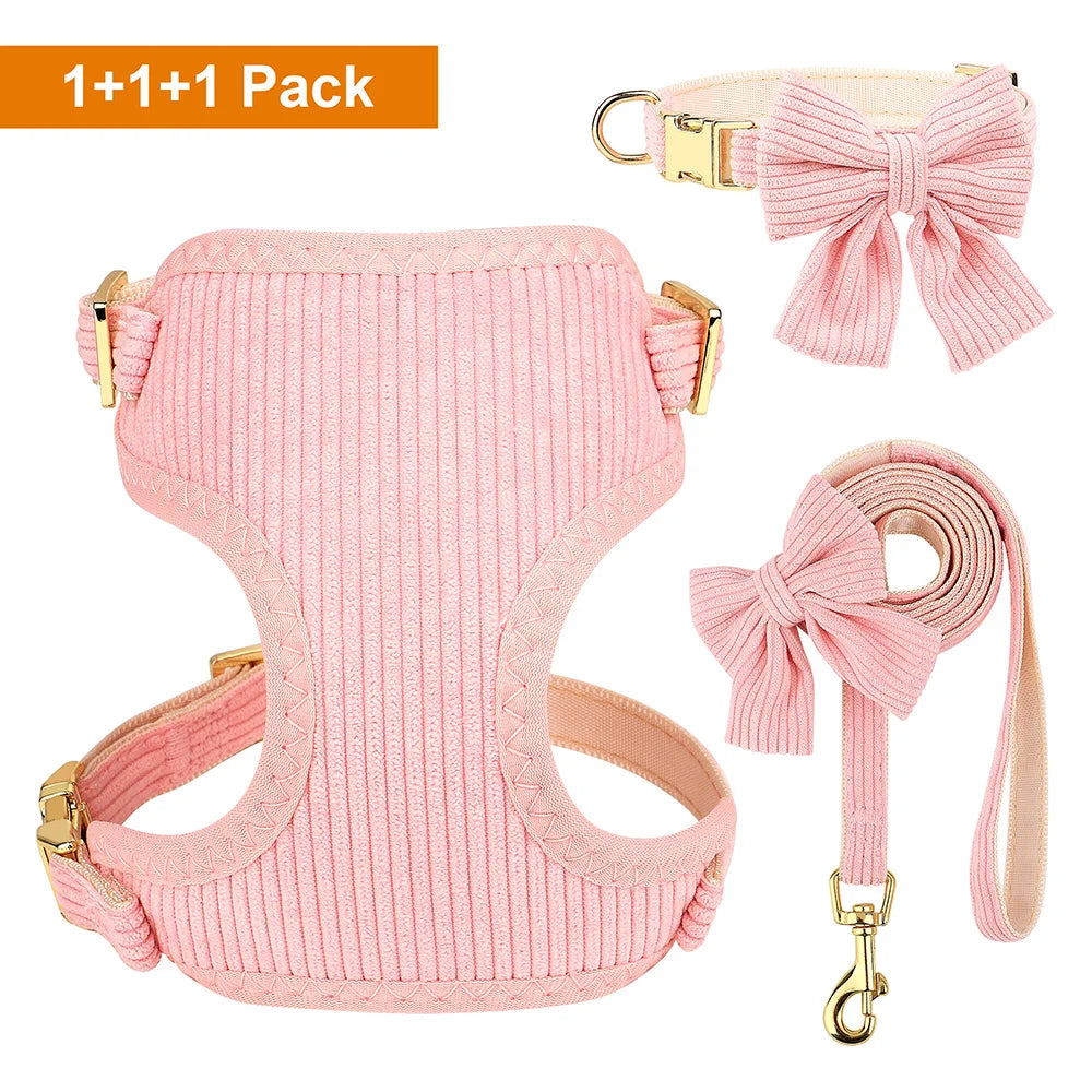 Small dog wearing cute bowtie harness with matching leash and collar