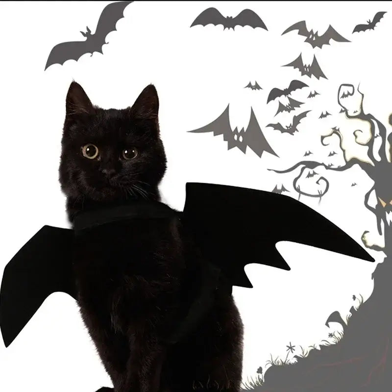 Black Bat Wings Harness Costume for cats and dogs, perfect for Halloween parties and festive occasions.