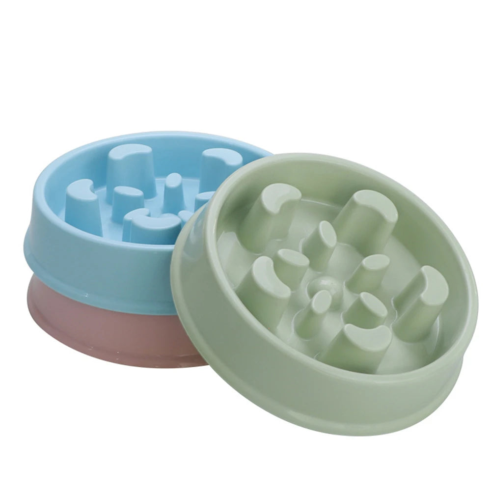 Pet Slow Food Bowl with raised obstacles to promote slower and safer eating for cats and dogs