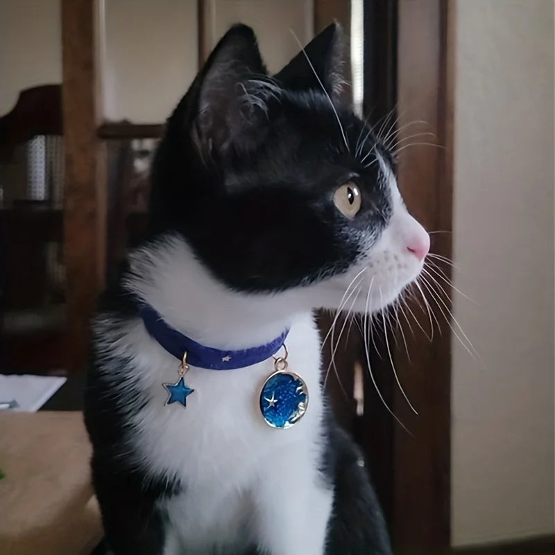 Velvet adjustable pet collar with bronzing star design for cats and small dogs