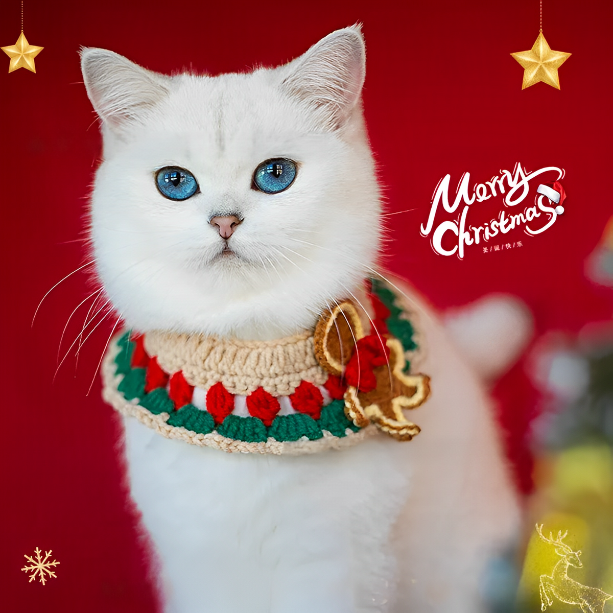 Christmas pet scarf collar with festive bow for cats and small dogs