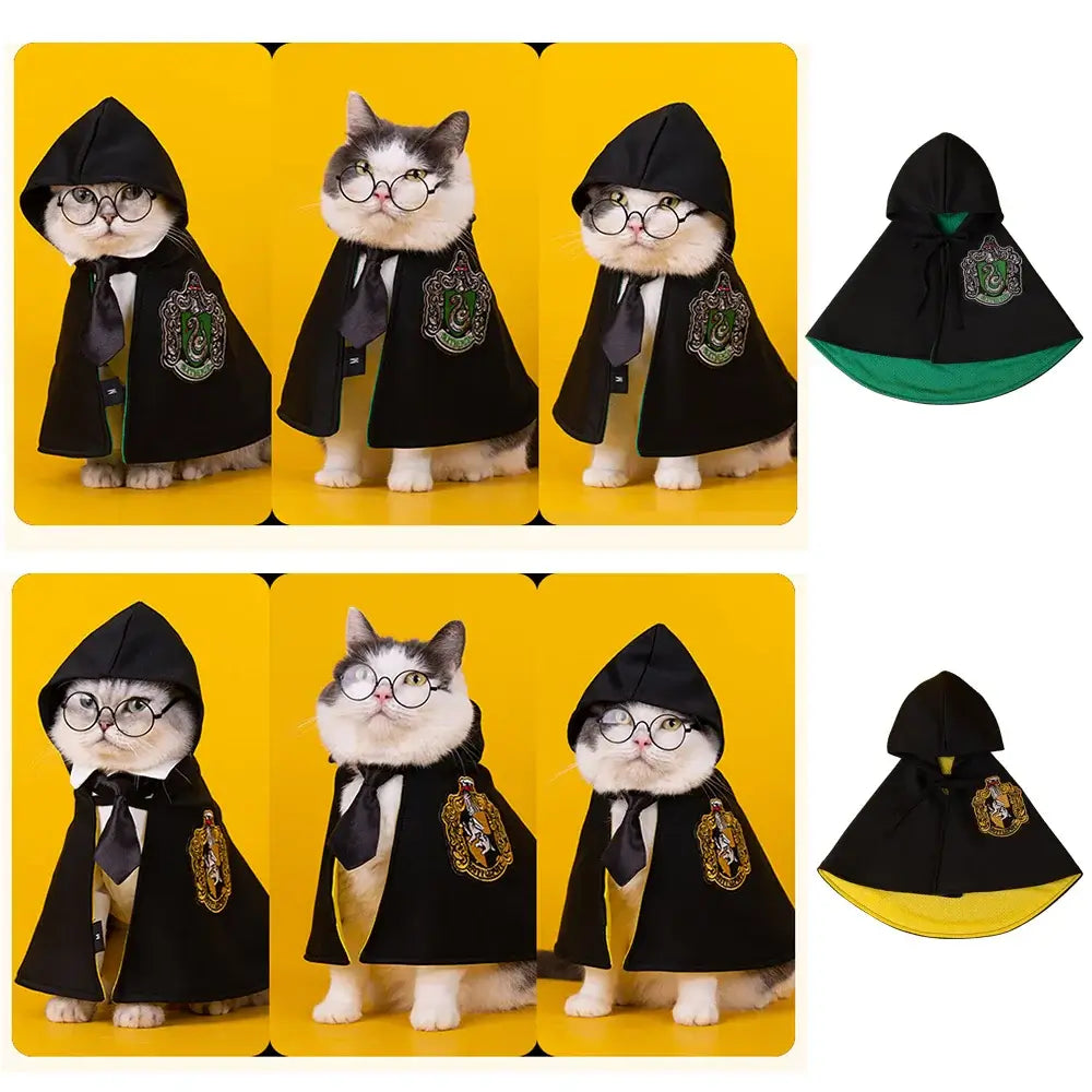 Cat or small dog wearing a shiny satin cape with magical Halloween theme.