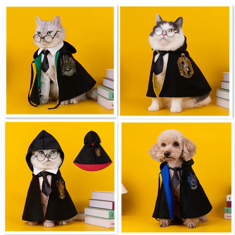 Cat or small dog wearing a shiny satin cape with magical Halloween theme.