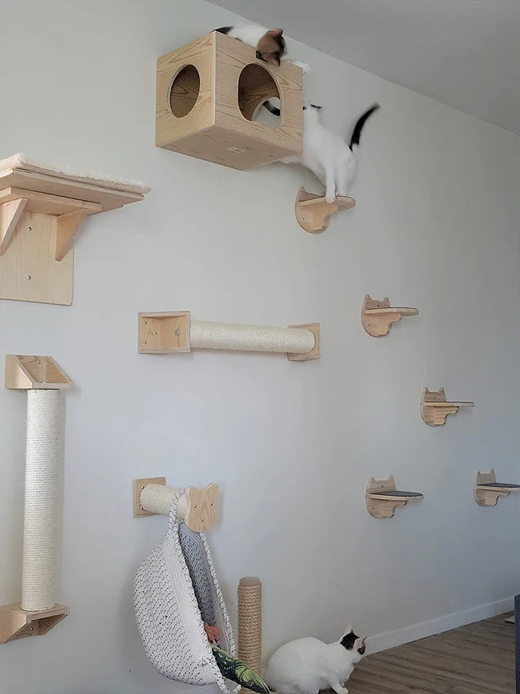 Wall-mounted cat shelf with sisal scratching posts and multi-level steps