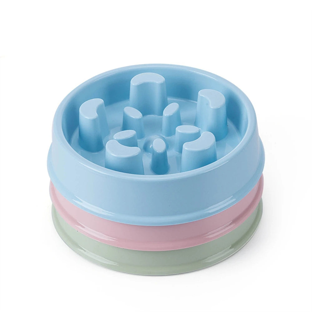 Pet Slow Food Bowl with raised obstacles to promote slower and safer eating for cats and dogs