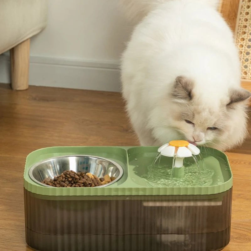 2-in-1 automatic water fountain and food bowl for cats and dogs promoting hydration and easy feeding