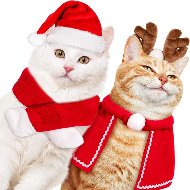 Two cats in christmas pet costume: one with reindeer antlers and the other in a Santa hat and scarf.