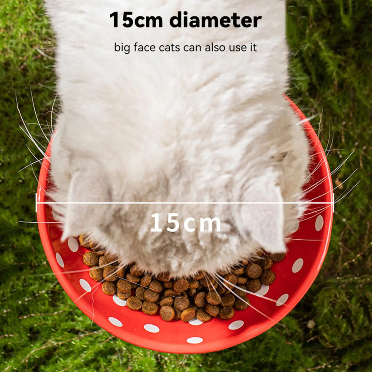 Ceramic cat feeder with mushroom elevated shelf, ideal for comfortable feeding and reducing whisker stress.