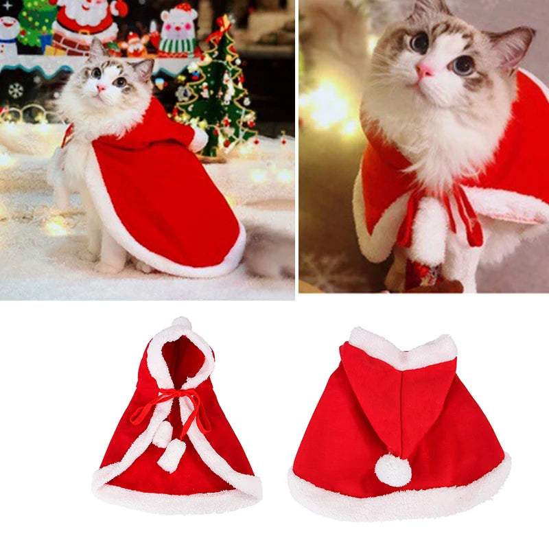 Cat wearing a red and brown Christmas cloak, ideal for festive parties and holiday photos.