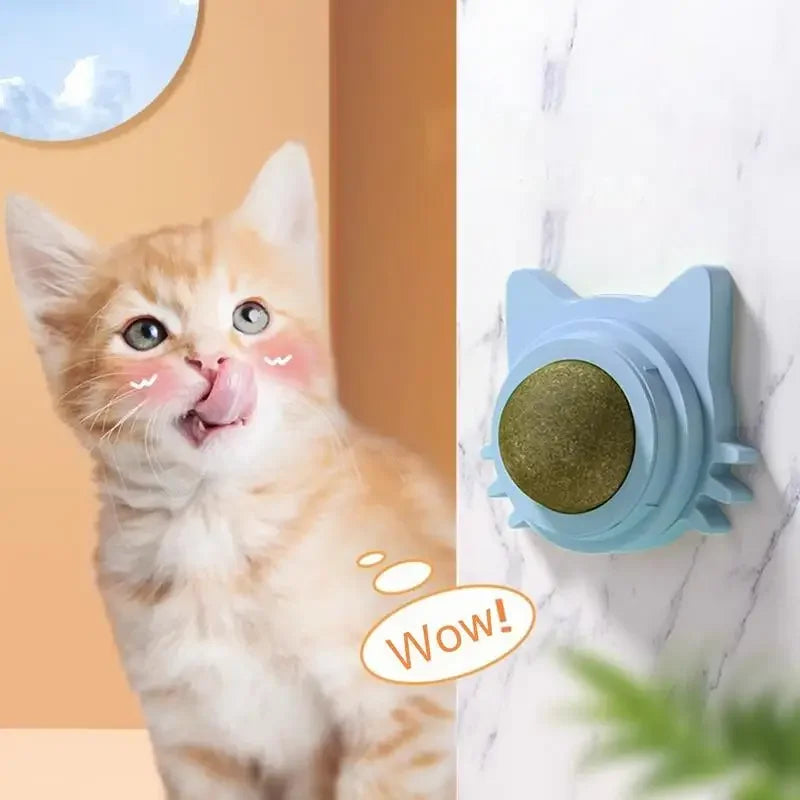 Lickable catnip balls chew toy and snack for cats with dental cleaning effect