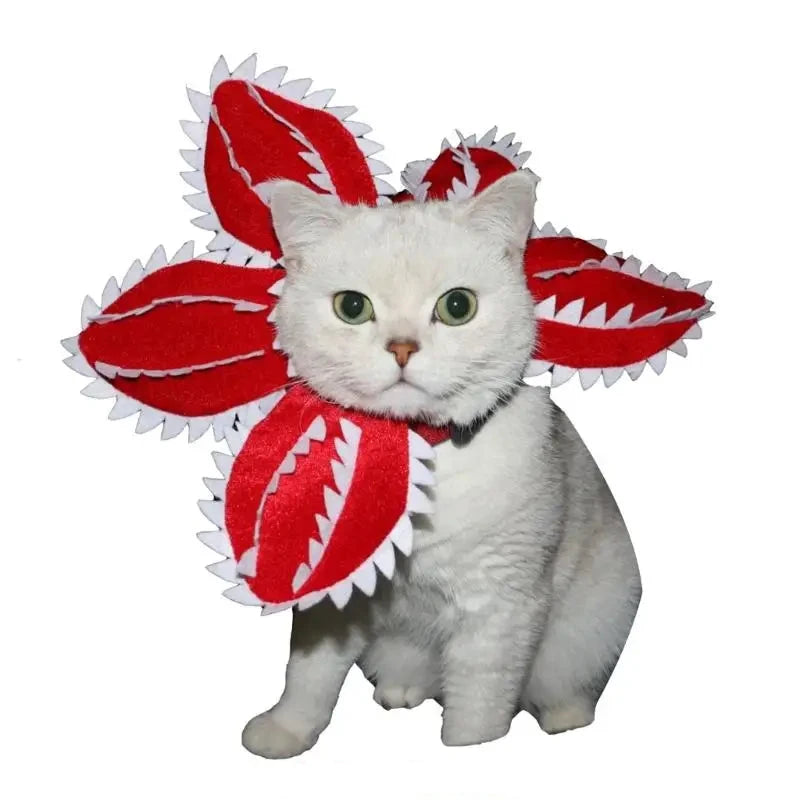 Cat wearing a scary flower Demogorgon cosplay hat for Halloween or costume party