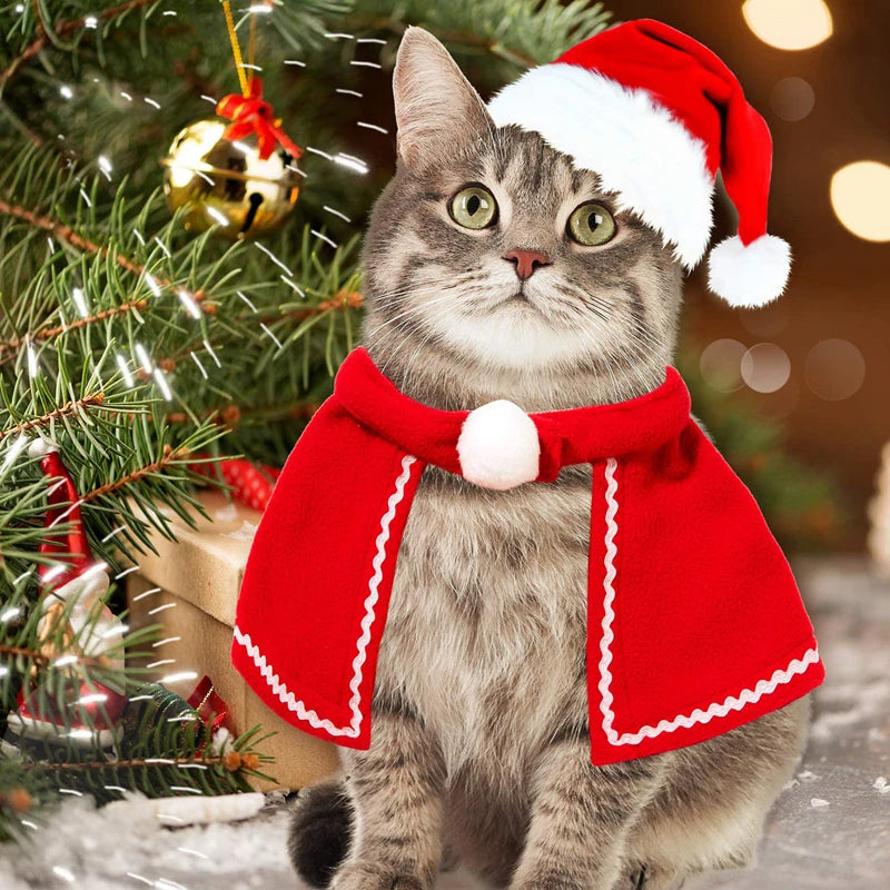 Christmas pet costume featuring a cat wearing a Santa hat and red cloak near a decorated Christmas tree.