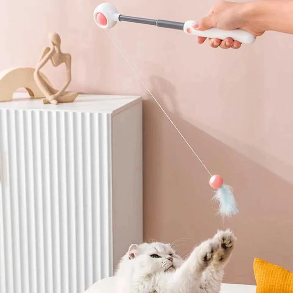 Cat playing with interactive gravitational teaser laser wand