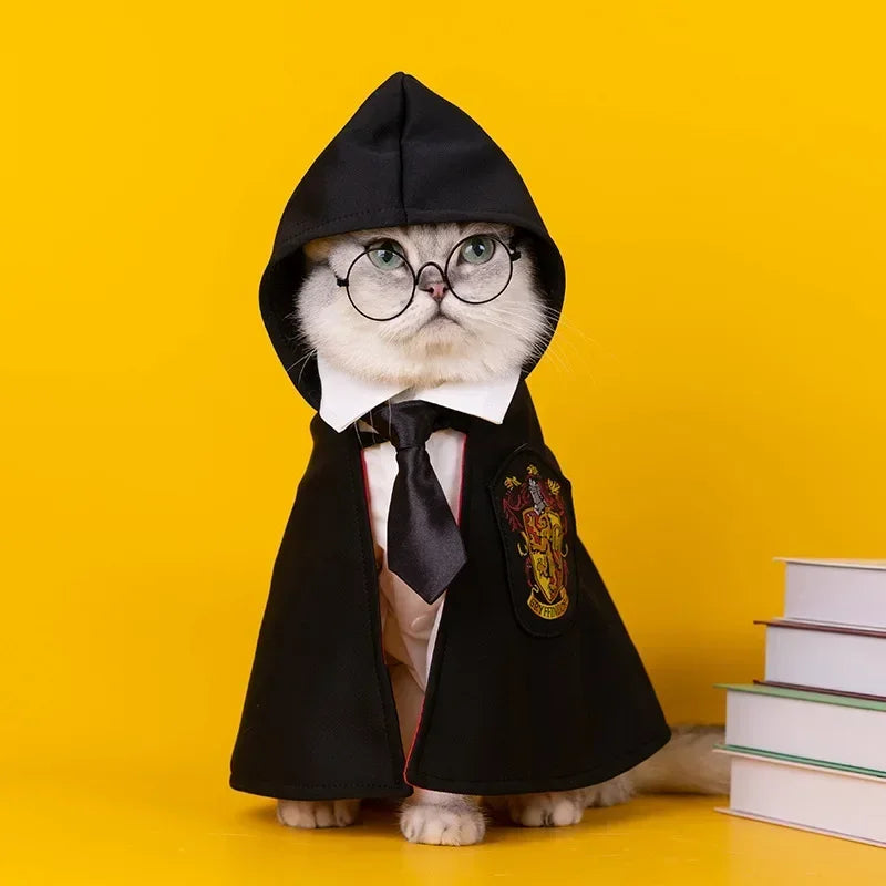 Cat wearing wizard shirt and cape inspired by Harry Potter magic academy outfit