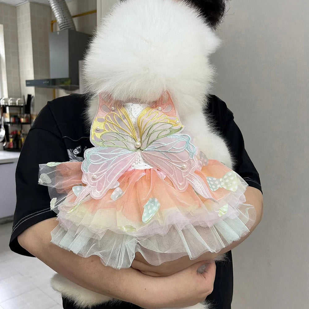 Small dog wearing the Butterfly Princess Dress, showcasing a charming and stylish design perfect for special occasions.
