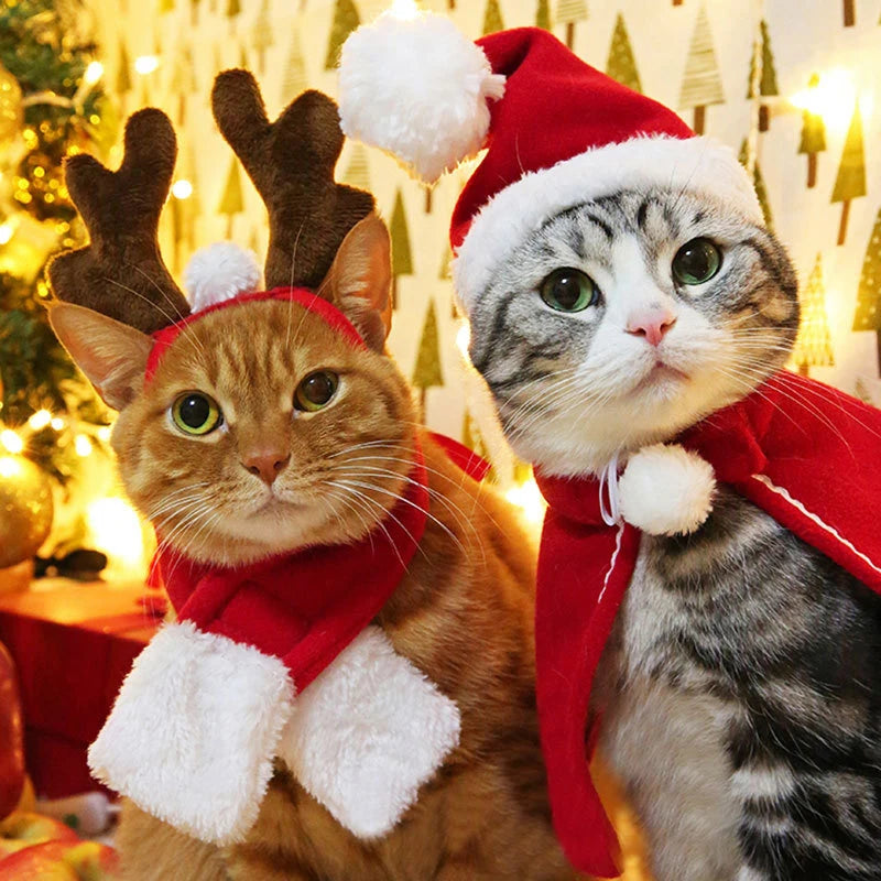Pet Christmas hat and scarf set, festive holiday accessory for dogs and cats
