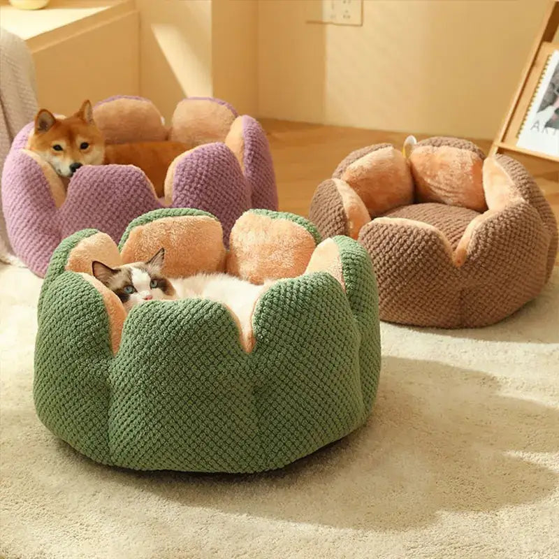 Small cat sleeping in a soft round plush pet bed with striped design