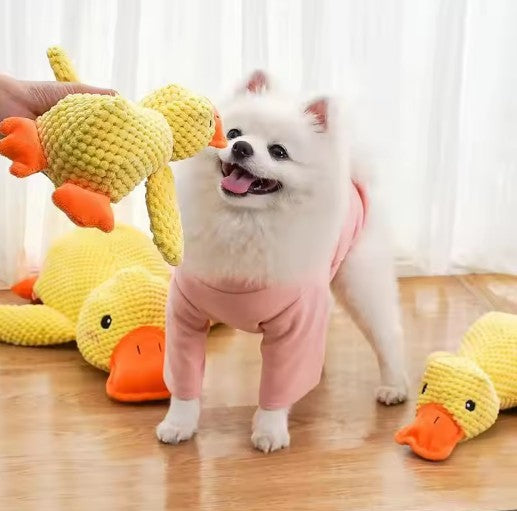 Calming pet toy in use with a fluffy white dog playing with a yellow plush duck toy.